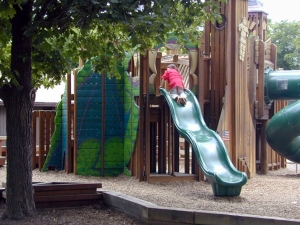 Child going down a slide