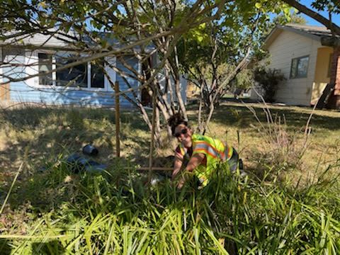 Planting native vegetation during Pattee Creek Restoration Project