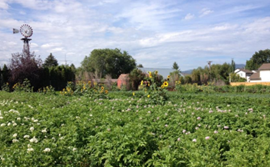 Appendix H Cover Page